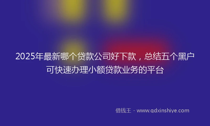 2025年最新哪个贷款公司好下款，总结五个黑户可快速办理小额贷款业务的平台