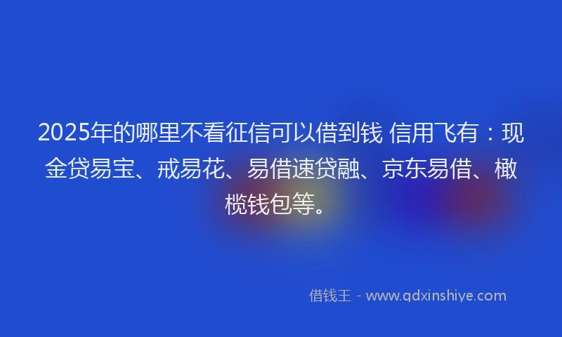 2025年的哪里不看征信可以借到钱 信用飞有：现金贷易宝、戒易花、易借速贷融、京东易借、橄榄钱包等。