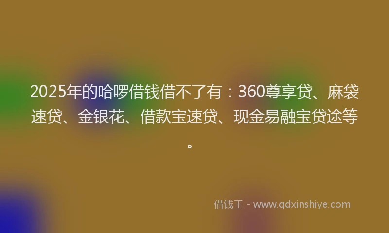 2025年的哈啰借钱借不了有：360尊享贷、麻袋速贷、金银花、借款宝速贷、现金易融宝贷途等。