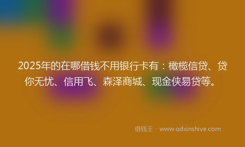2025年的在哪借钱不用银行卡有：橄榄信贷、贷你无忧、信用飞、森泽商城、现金侠易贷等。