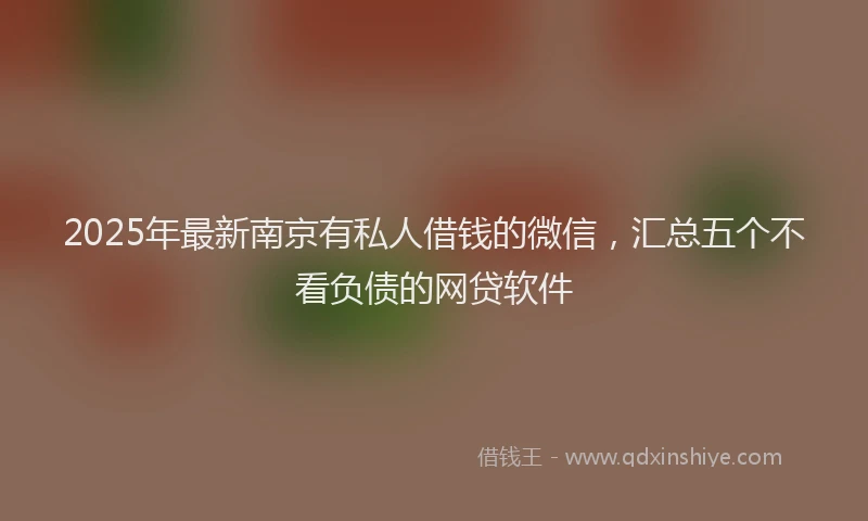 2025年最新南京有私人借钱的微信，汇总五个不看负债的网贷软件