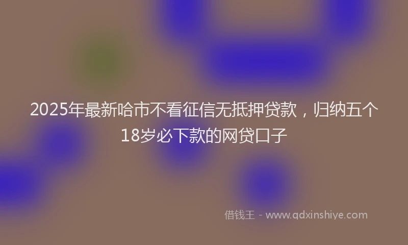 2025年最新哈市不看征信无抵押贷款，归纳五个18岁必下款的网贷口子