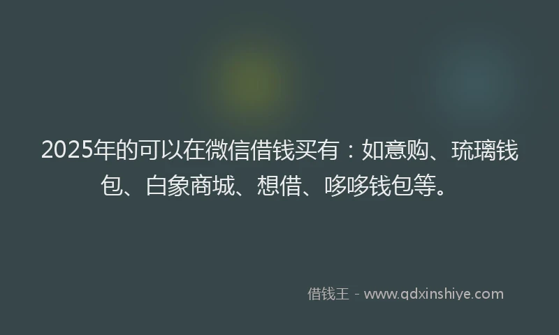 2025年的可以在微信借钱买有：如意购、琉璃钱包、白象商城、想借、哆哆钱包等。