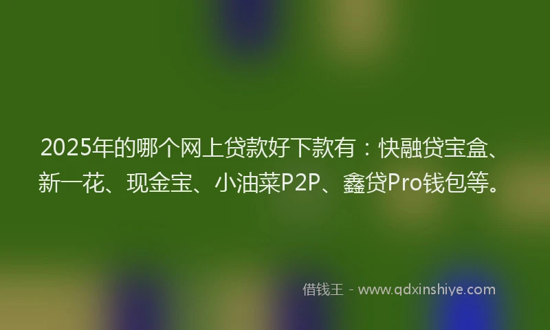 2025年的哪个网上贷款好下款有:快融贷宝盒、新一花、现金宝、小油菜P2P、鑫贷Pro钱包等。