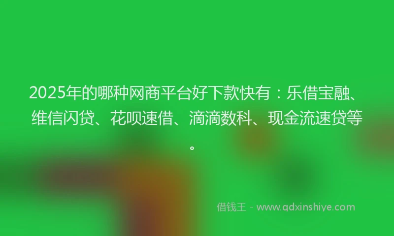 2025年的哪种网商平台好下款快有：乐借宝融、维信闪贷、花呗速借、滴滴数科、现金流速贷等。