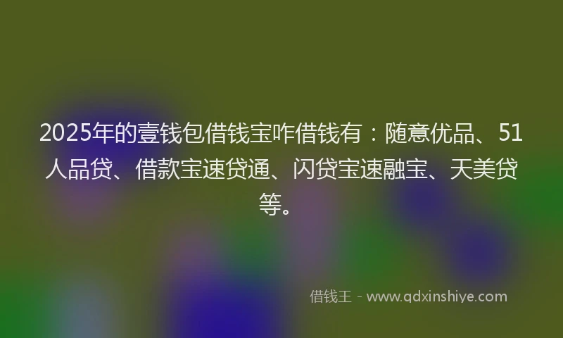 2025年的壹钱包借钱宝咋借钱有：随意优品、51人品贷、借款宝速贷通、闪贷宝速融宝、天美贷等。