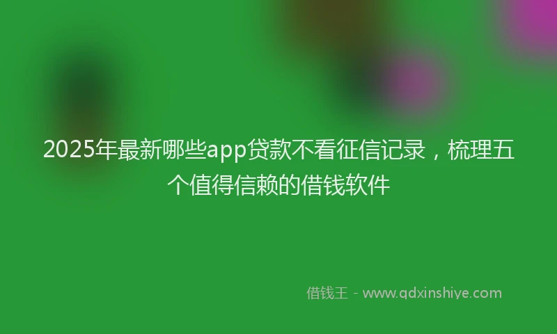 2025年最新哪些app贷款不看征信记录，梳理五个值得信赖的借钱软件