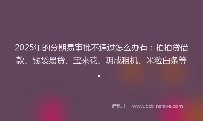 2025年的分期易审批不通过怎么办有：拍拍贷借款、钱袋易贷、宝来花、玥成租机、米粒白条等。