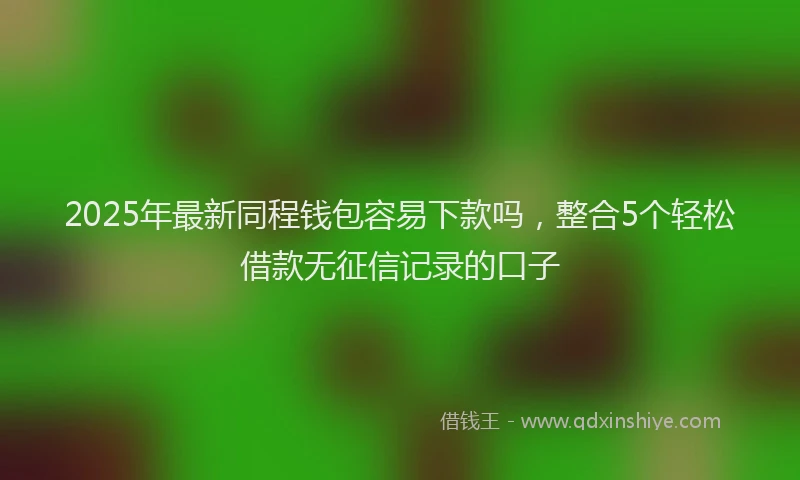 2025年最新同程钱包容易下款吗，整合5个轻松借款无征信记录的口子