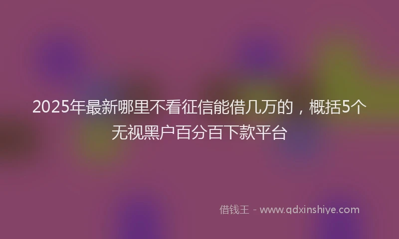 2025年最新哪里不看征信能借几万的，概括5个无视黑户百分百下款平台