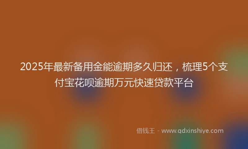2025年最新备用金能逾期多久归还，梳理5个支付宝花呗逾期万元快速贷款平台