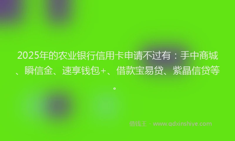2025年的农业银行信用卡申请不过有：手中商城、瞬信金、速享钱包+、借款宝易贷、紫晶信贷等。