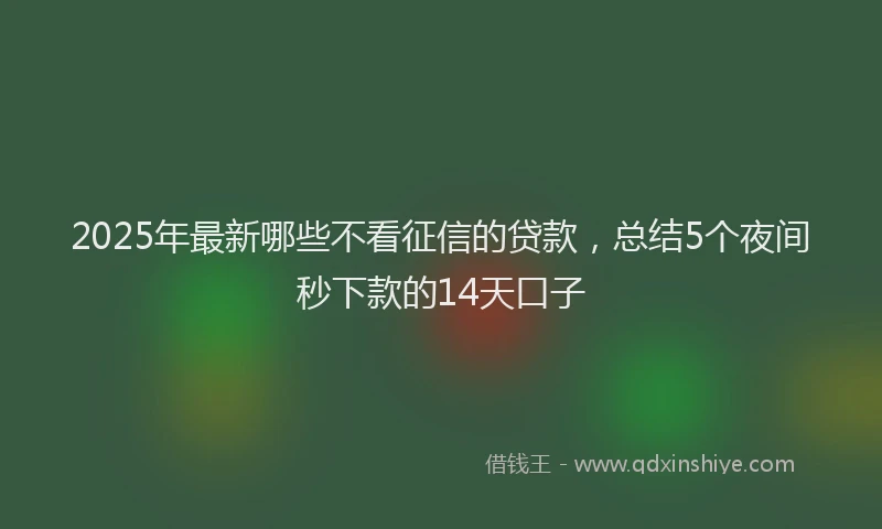 2025年最新哪些不看征信的贷款，总结5个夜间秒下款的14天口子