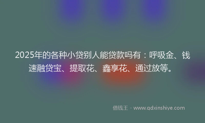 2025年的各种小贷别人能贷款吗有：呼吸金、钱速融贷宝、提取花、鑫享花、通过放等。