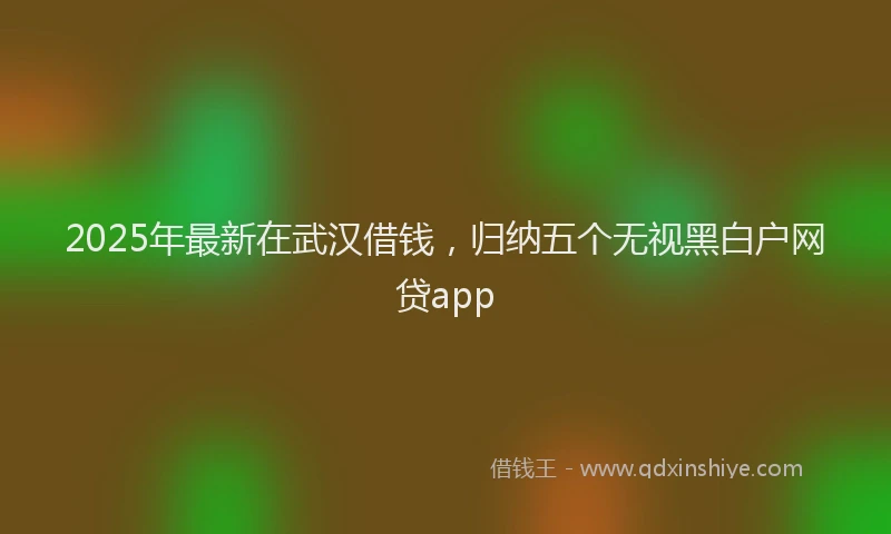 2025年最新在武汉借钱，归纳五个无视黑白户网贷app