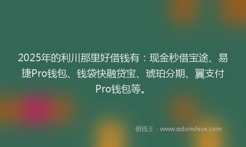 2025年的利川那里好借钱有：现金秒借宝途、易捷Pro钱包、钱袋快融贷宝、琥珀分期、翼支付Pro钱包等。