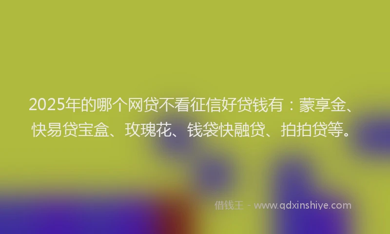 2025年的哪个网贷不看征信好贷钱有：蒙享金、快易贷宝盒、玫瑰花、钱袋快融贷、拍拍贷等。