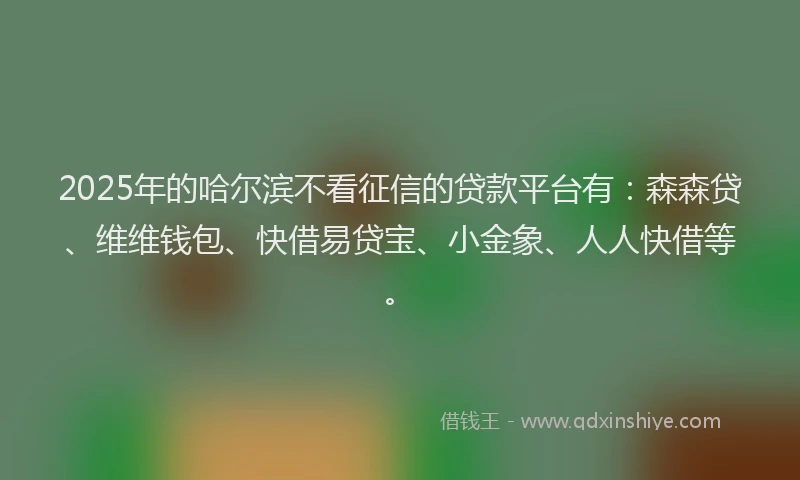 2025年的哈尔滨不看征信的贷款平台有：森森贷、维维钱包、快借易贷宝、小金象、人人快借等。