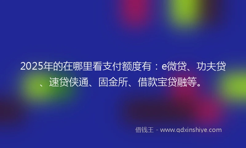 2025年的在哪里看支付额度有：e微贷、功夫贷、速贷侠通、固金所、借款宝贷融等。