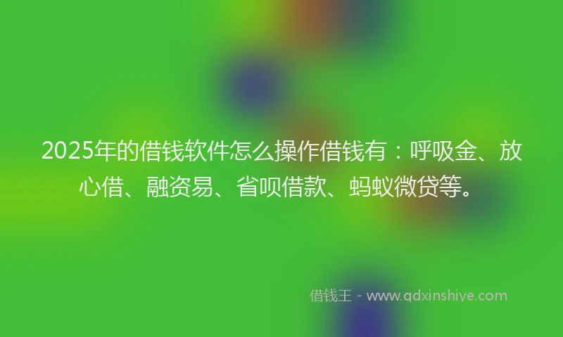 2025年的借钱软件怎么操作借钱有：呼吸金、放心借、融资易、省呗借款、蚂蚁微贷等。