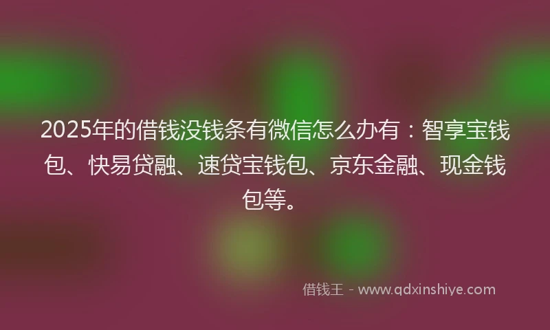 2025年的借钱没钱条有微信怎么办有：智享宝钱包、快易贷融、速贷宝钱包、京东金融、现金钱包等。