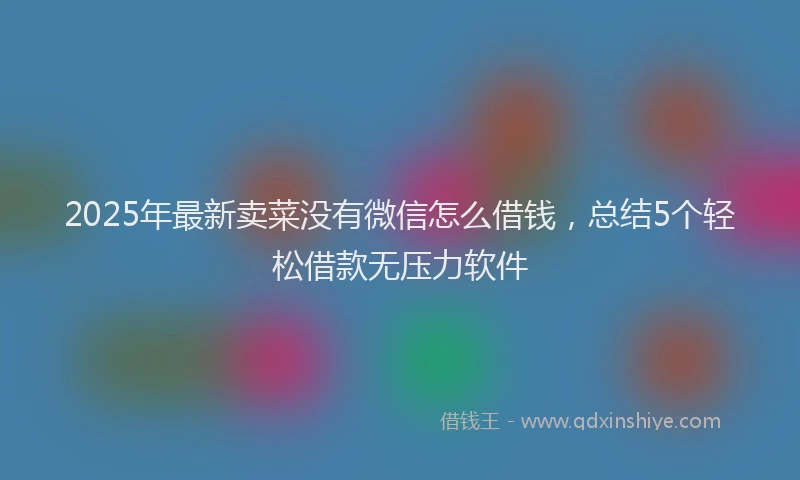 2025年最新卖菜没有微信怎么借钱，总结5个轻松借款无压力软件