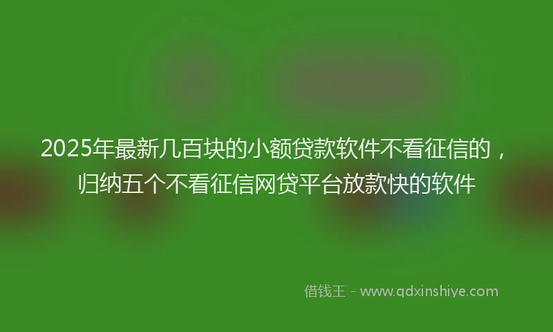 2025年最新几百块的小额贷款软件不看征信的，归纳五个不看征信网贷平台放款快的软件