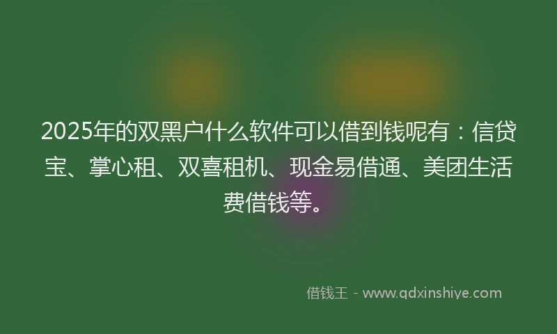 2025年的双黑户什么软件可以借到钱呢有：信贷宝、掌心租、双喜租机、现金易借通、美团生活费借钱等。