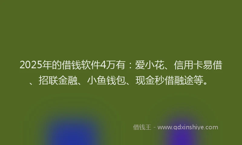 2025年的借钱软件4万有：爱小花、信用卡易借、招联金融、小鱼钱包、现金秒借融途等。