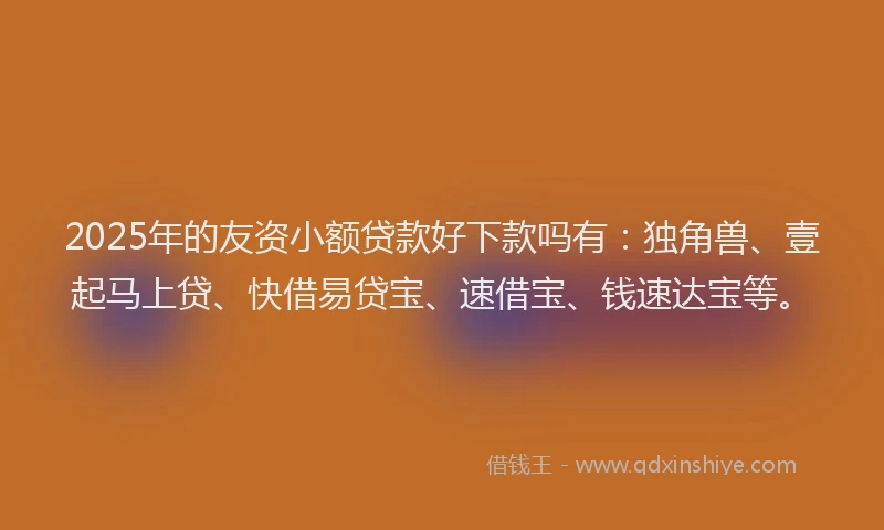 2025年的友资小额贷款好下款吗有：独角兽、壹起马上贷、快借易贷宝、速借宝、钱速达宝等。