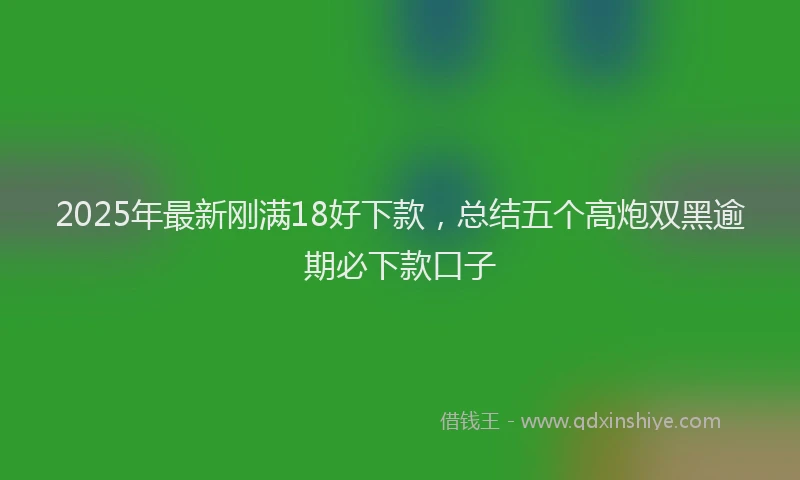 2025年最新刚满18好下款，总结五个高炮双黑逾期必下款口子