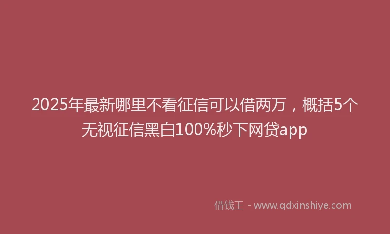 2025年最新哪里不看征信可以借两万，概括5个无视征信黑白100%秒下网贷app