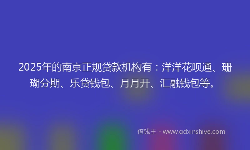 2025年的南京正规贷款机构有：洋洋花呗通、珊瑚分期、乐贷钱包、月月开、汇融钱包等。