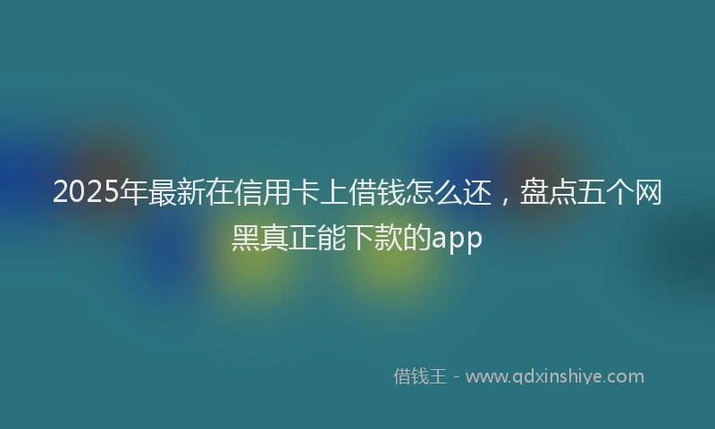 2025年最新在信用卡上借钱怎么还，盘点五个网黑真正能下款的app