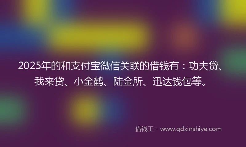 2025年的和支付宝微信关联的借钱有：功夫贷、我来贷、小金鹤、陆金所、迅达钱包等。