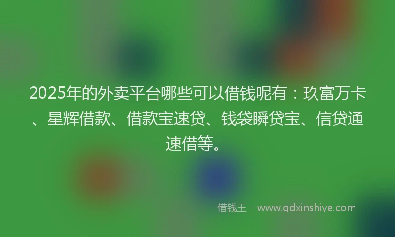 2025年的外卖平台哪些可以借钱呢有：玖富万卡、星辉借款、借款宝速贷、钱袋瞬贷宝、信贷通速借等。