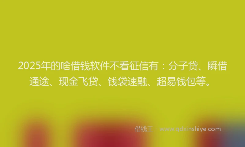 2025年的啥借钱软件不看征信有：分子贷、瞬借通途、现金飞贷、钱袋速融、超易钱包等。
