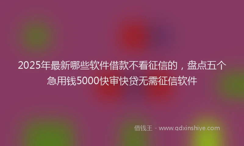 2025年最新哪些软件借款不看征信的，盘点五个急用钱5000快审快贷无需征信软件