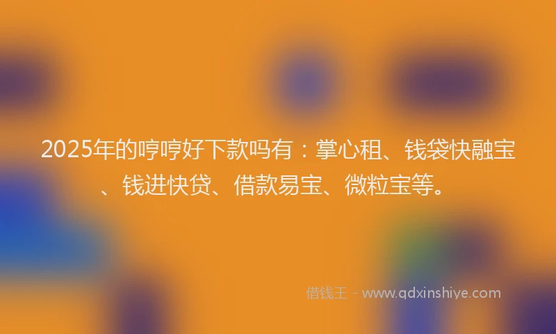 2025年的哼哼好下款吗有：掌心租、钱袋快融宝、钱进快贷、借款易宝、微粒宝等。