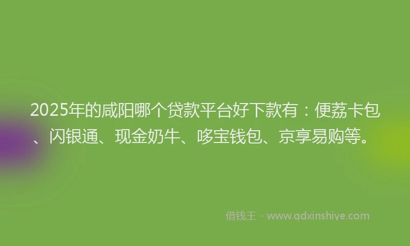 2025年的咸阳哪个贷款平台好下款有：便荔卡包、闪银通、现金奶牛、哆宝钱包、京享易购等。