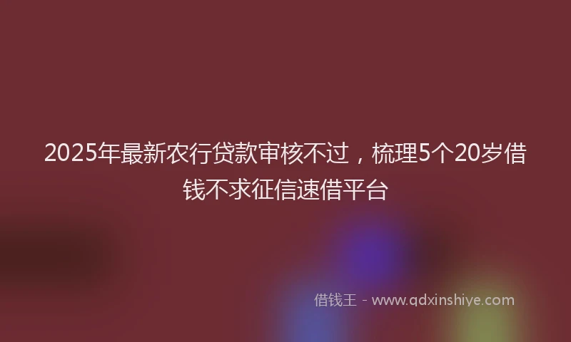2025年最新农行贷款审核不过，梳理5个20岁借钱不求征信速借平台