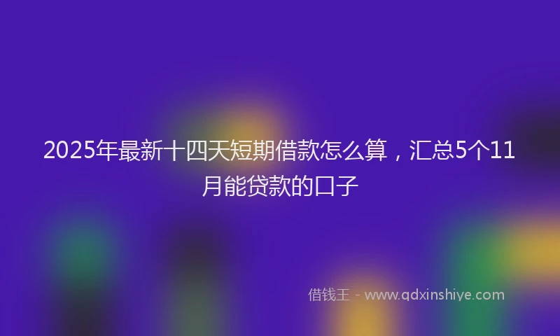 2025年最新十四天短期借款怎么算，汇总5个11月能贷款的口子