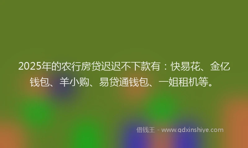 2025年的农行房贷迟迟不下款有：快易花、金亿钱包、羊小购、易贷通钱包、一姐租机等。