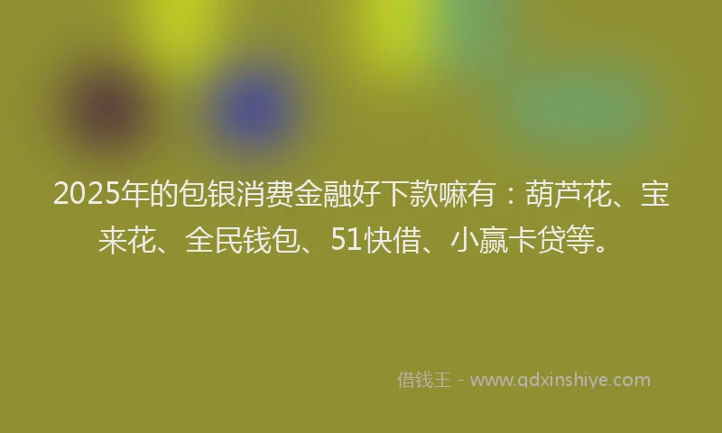 2025年的包银消费金融好下款嘛有：葫芦花、宝来花、全民钱包、51快借、小赢卡贷等。