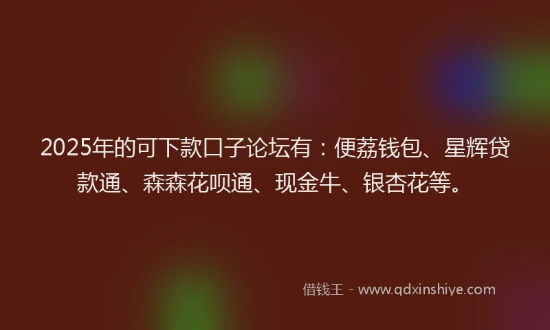 2025年的可下款口子论坛有：便荔钱包、星辉贷款通、森森花呗通、现金牛、银杏花等。