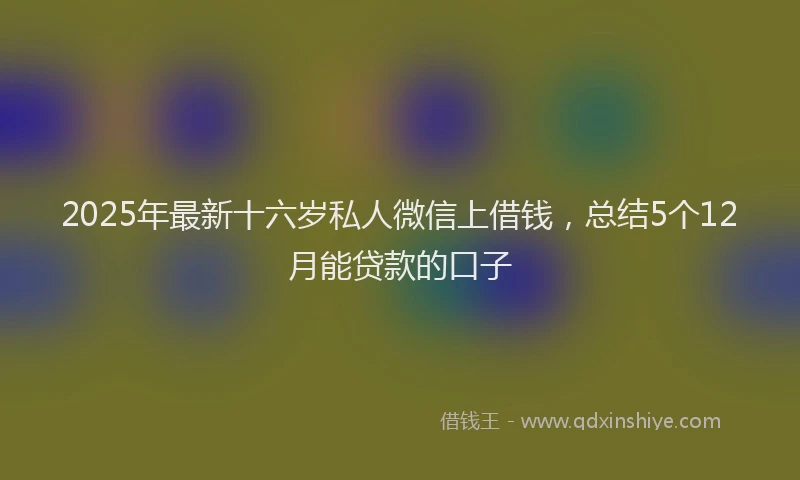 2025年最新十六岁私人微信上借钱，总结5个12月能贷款的口子