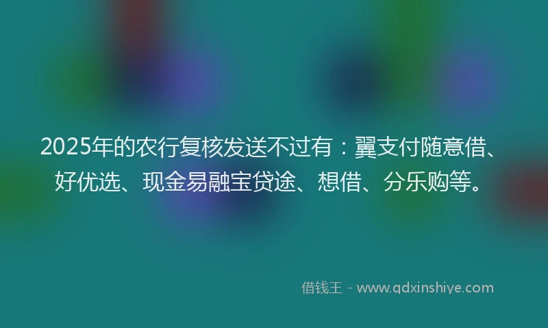 2025年的农行复核发送不过有：翼支付随意借、好优选、现金易融宝贷途、想借、分乐购等。