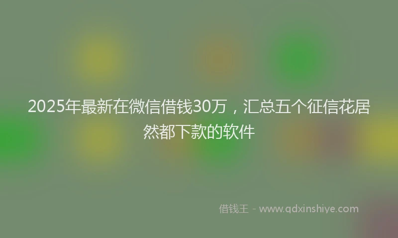 2025年最新在微信借钱30万，汇总五个征信花居然都下款的软件