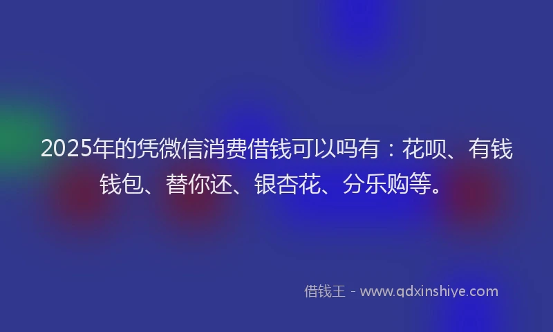2025年的凭微信消费借钱可以吗有：花呗、有钱钱包、替你还、银杏花、分乐购等。