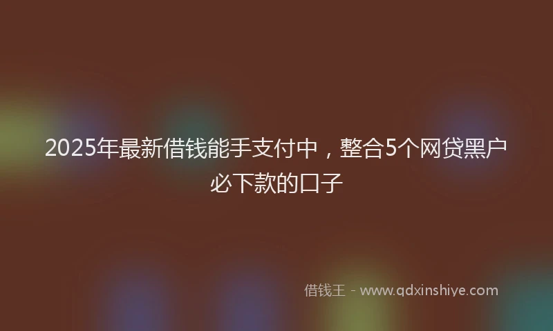 2025年最新借钱能手支付中，整合5个网贷黑户必下款的口子